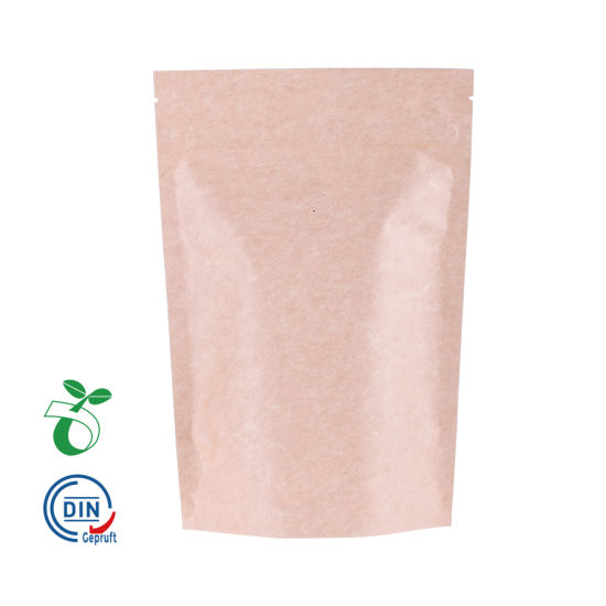 Recycle Kraft Paper Plastic Bags Biodegradable Zipper Bag Wholesale