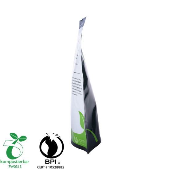 Gravure Printing Colorful Doypack Biodegradable Mylar Bag Manufacturer in China