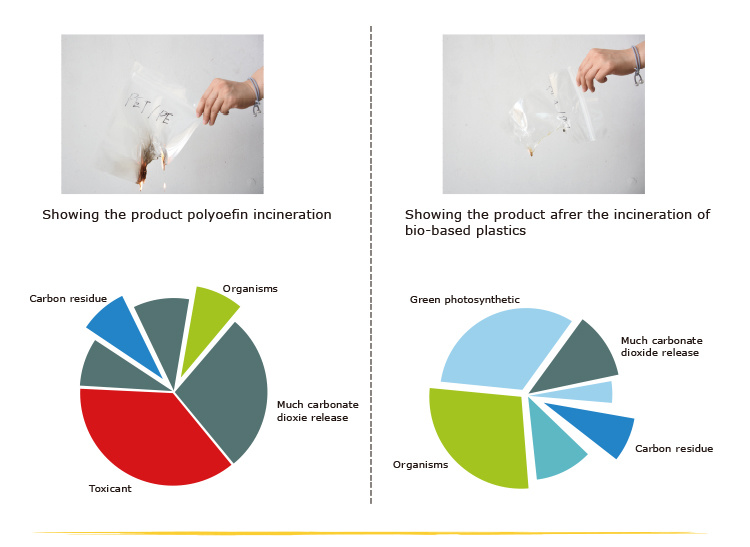 Plastic Zip Lock Clear Window PLA Product Supplier in China