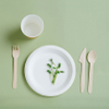 Disposable Compostable Tableware for Catering