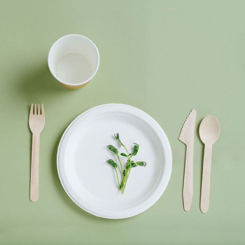 Disposable Compostable Tableware for Catering