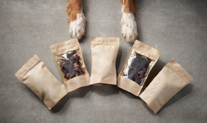 dog treat bag.jpg