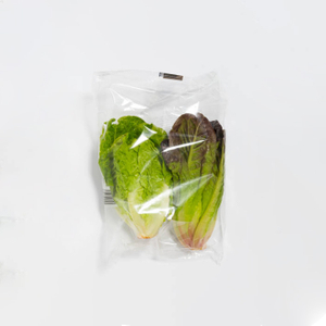 China Manufacturer Clear Biodegradable Vegetable Packaging Plastic Bags