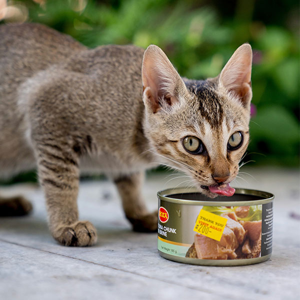 Pet Food