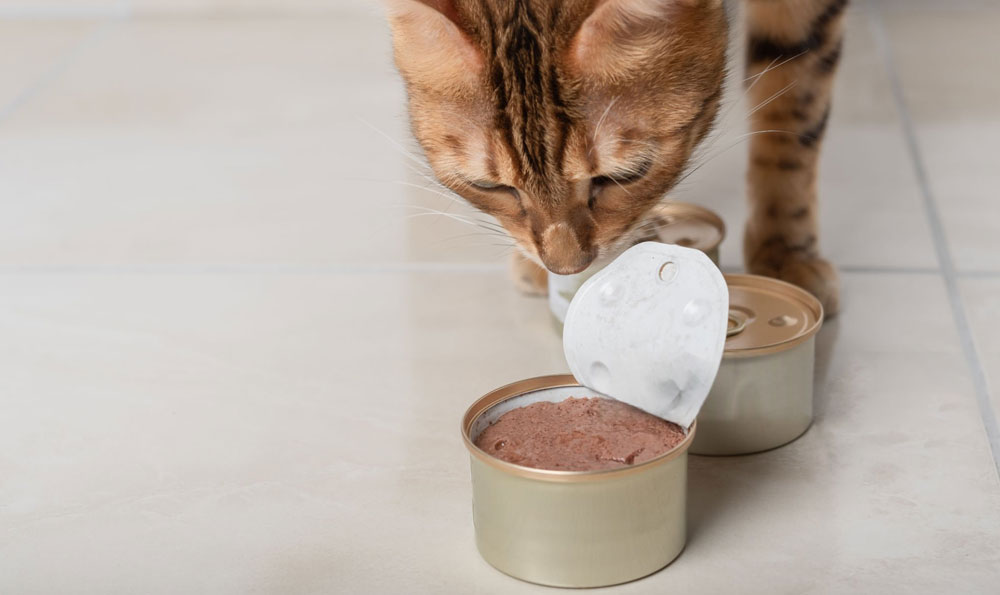 wet pet food packaging