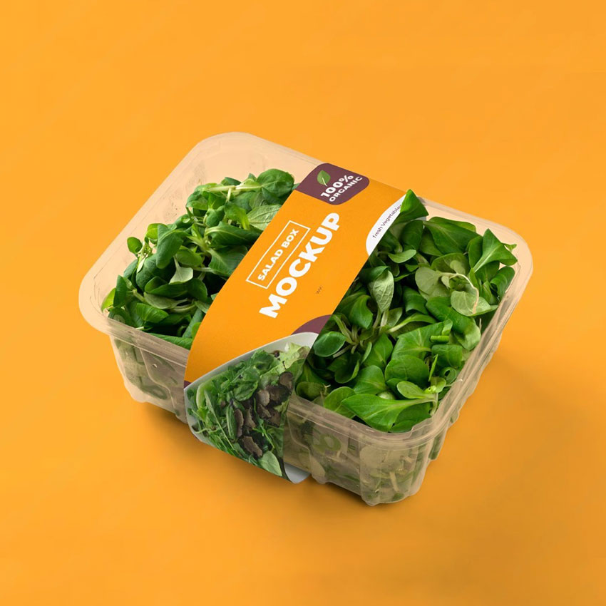 Clear Biodegradable Plastic Blister Packaging Fruit Vegetable Salad Box