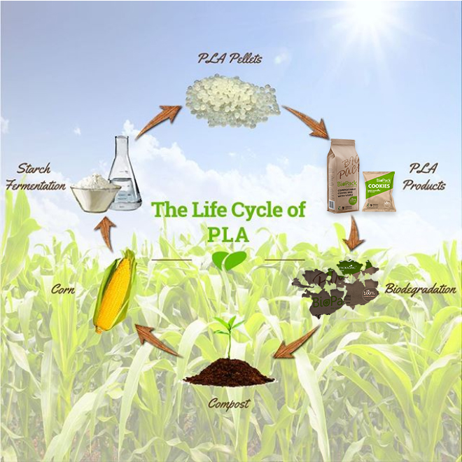 biodegradable process