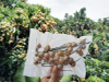Custom Product Compostable Laminated Three Side Seal Sustainable Frozen Food Packaging
