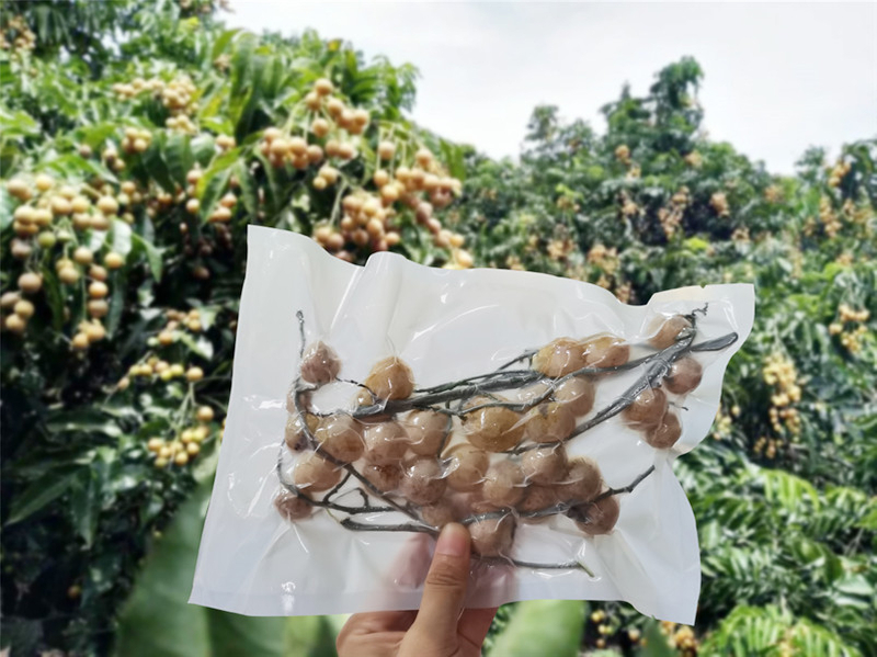 Custom Product Compostable Laminated Three Side Seal Sustainable Frozen Food Packaging
