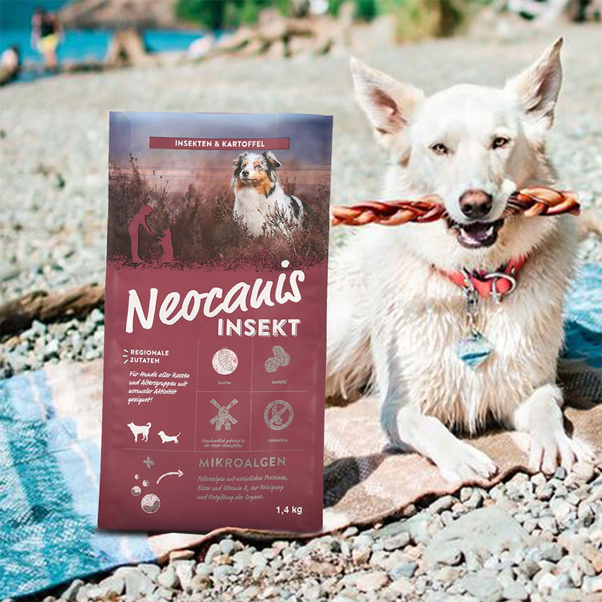 Compostable Dog Food Packaging Bag