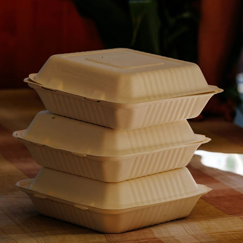 Biodegradable Sugarcane Bagasse Clamshell Lunch Box Takeaway