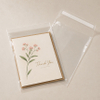 Crystal Clear Protective Closure Bags