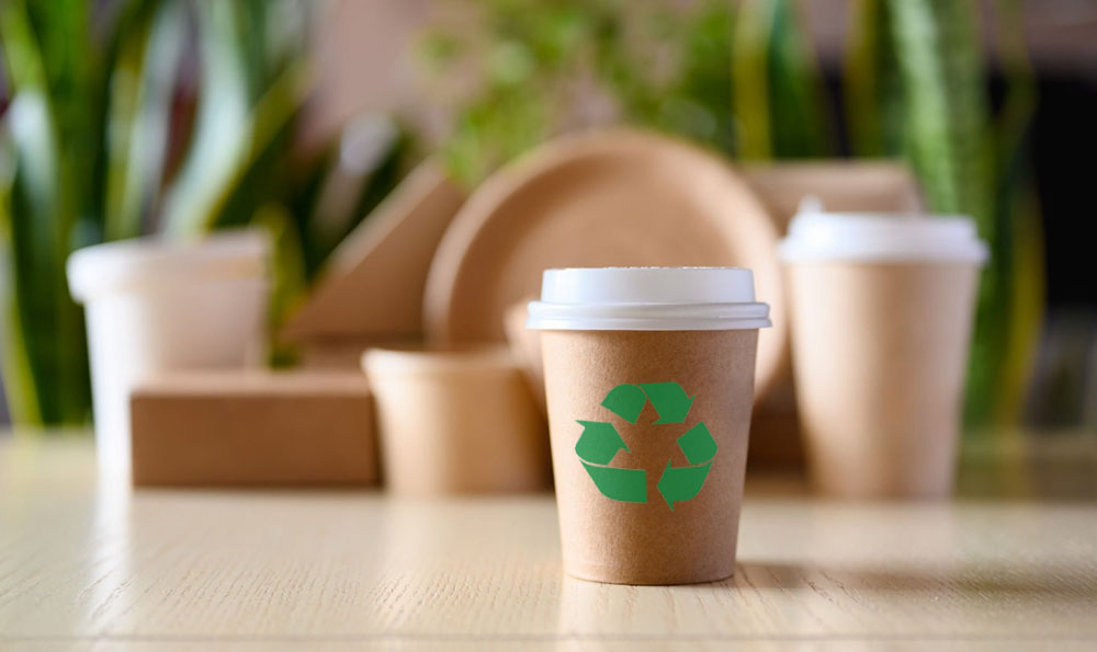 eco friendly packaging solutions