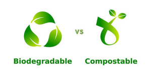 biodegradable compostable packaging.jpg