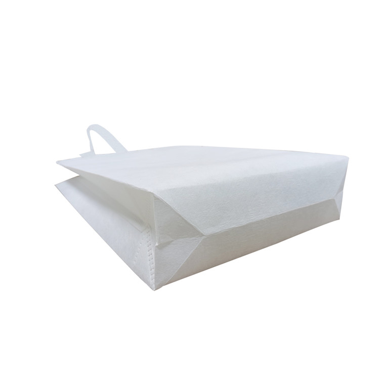 Fully Compostable OEM Advertisement Print Flat Shopping Non Woven Bag
