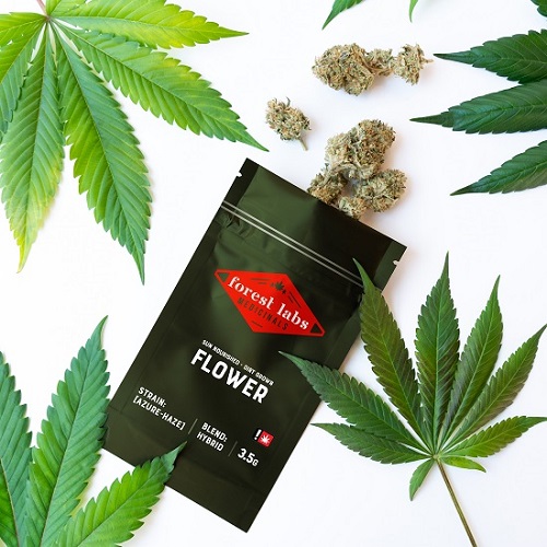 Cannabis-Blumenbecken