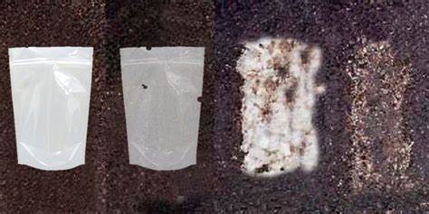 biodegradable plastic bags