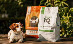 packaging de cachorro-food.jpg