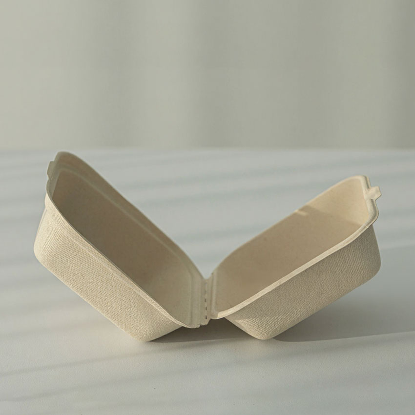 Biodegradable Sugarcane Bagasse Clamshell Lunch Box Takeaway