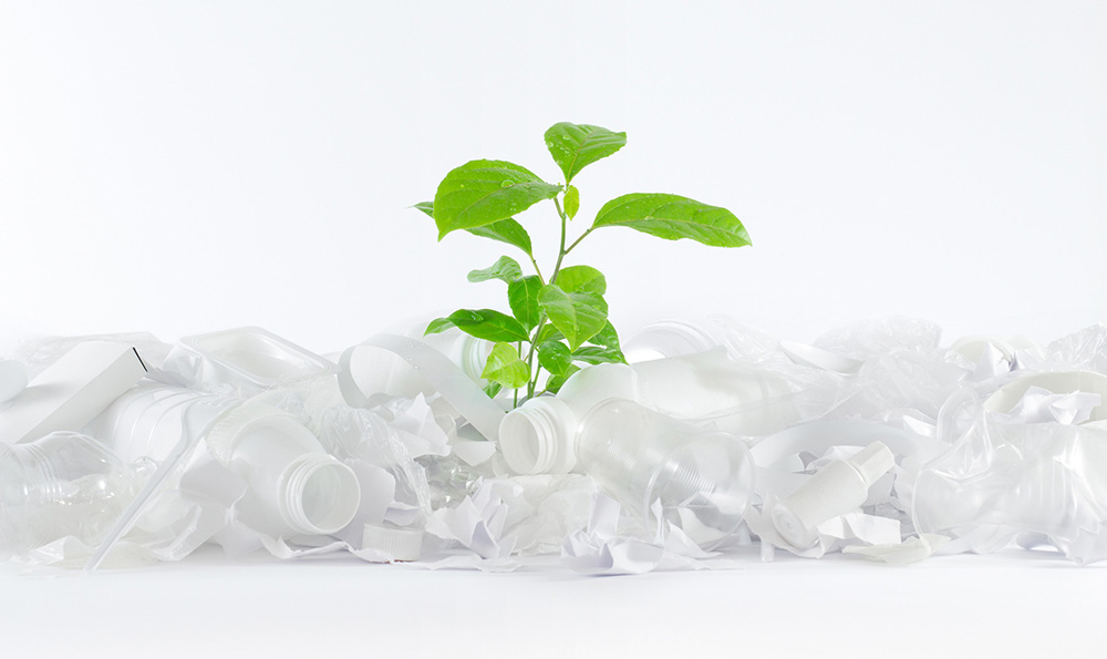 Alternative en plastique