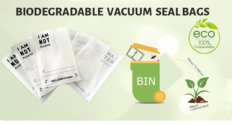 sac à vide composé (1)