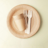 Disposable Compostable Tableware for Catering