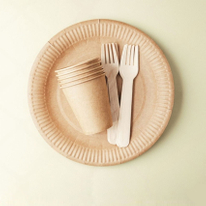 Custom Sugarcane Material Biodegradable Tableware