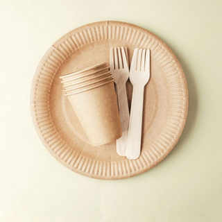 Custom Sugarcane Material Biodegradable Tableware