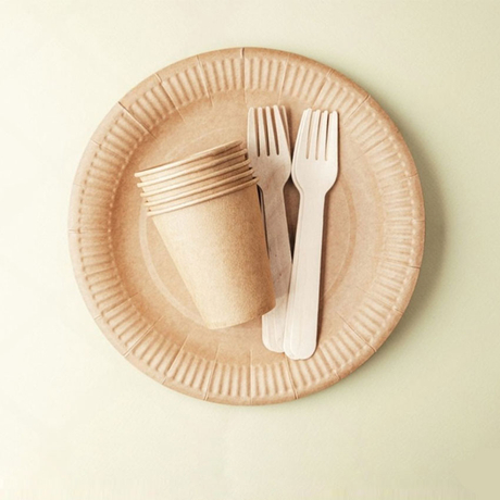 Custom Sugarcane Material Biodegradable Tableware