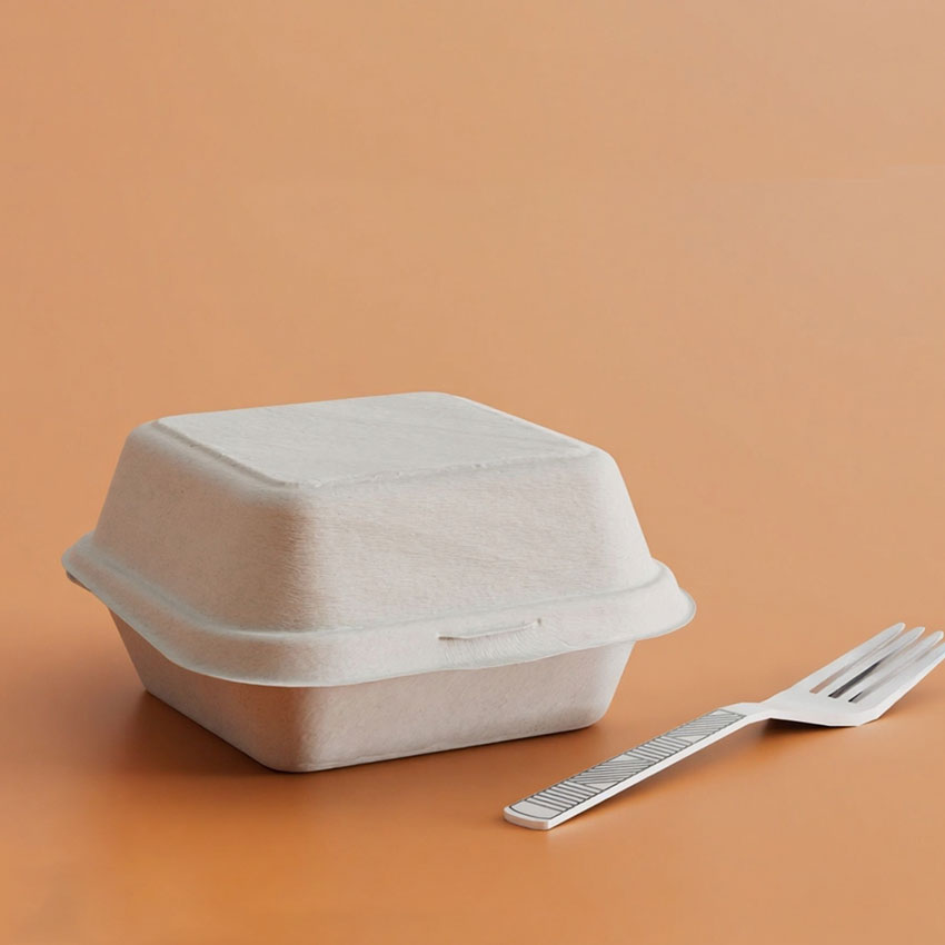 Biodegradable Sugarcane Bagasse Clamshell Lunch Box Takeaway
