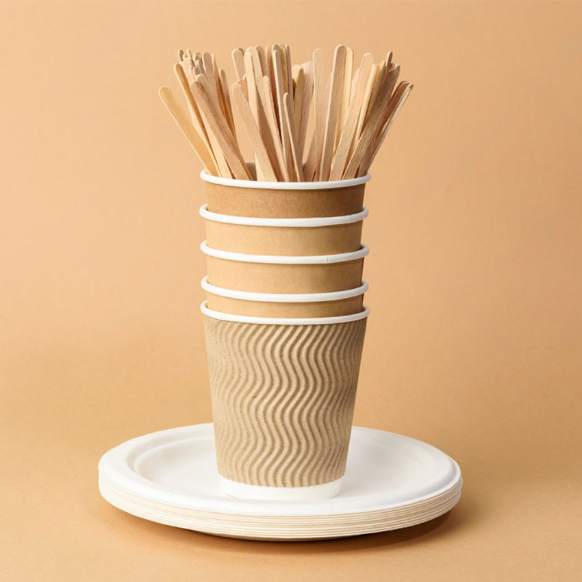 Disposable Compostable Tableware for Catering