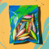 Plastic-free Custom Zip Lock Plastic Bags for Fishing Lures