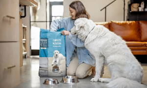 Sustainable-paper-based-pet-food-packaging.jpg