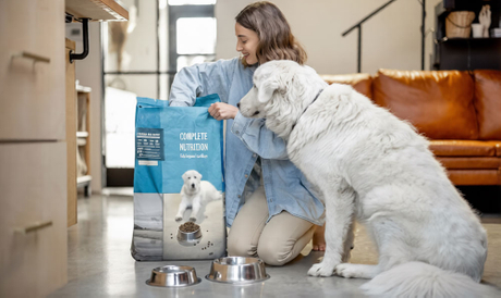 Sustainable-paper-based-pet-food-packaging.jpg