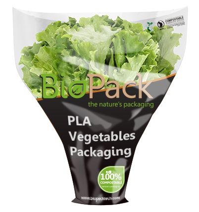 Shopoflux Cotton Reusable Vegetable Storage Bag for Fridge Set of 10 Bags  Washable : Amazon.in: Home & Kitchen