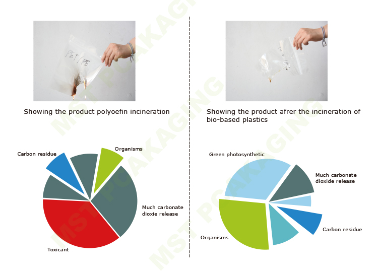 Plastik kantong kunci zip 