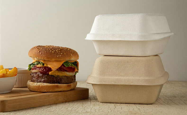 biodegradable-sugarcane-bagasse-boxes