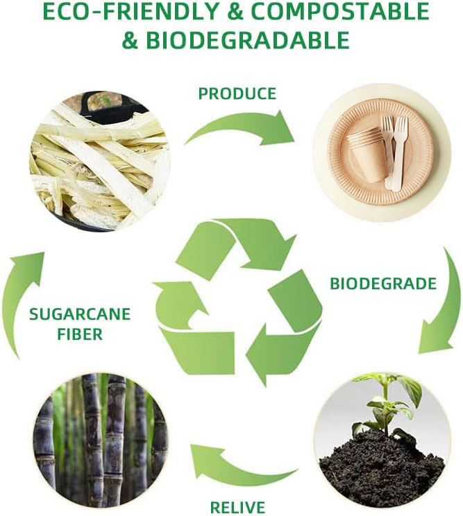 eco-friendly tableware