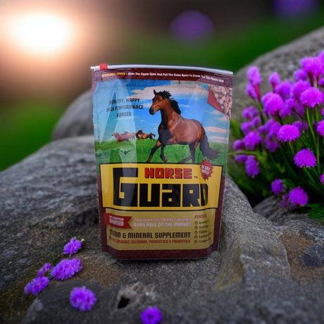 OEM Printable Eco-friendly Plastic Slider Zipper Horse Food Bag