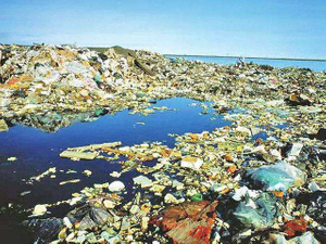 plastic pollution.jpg