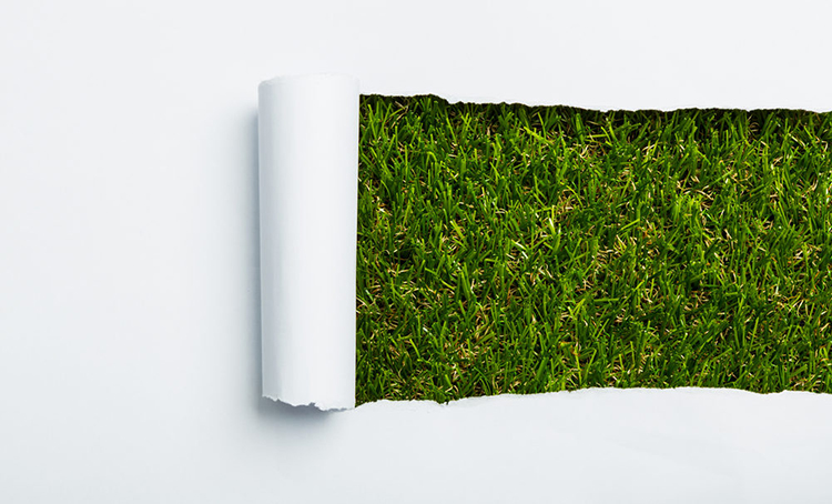 shutterstock-Gras-green-sustainable-1