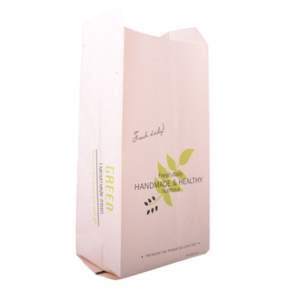 Eco-Friendly Certified PLA Fully Compostable Paper Bag for Food