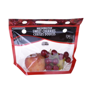 Fashion Colorful Printing Newest Factory Supply Recycled Ziplock Bag