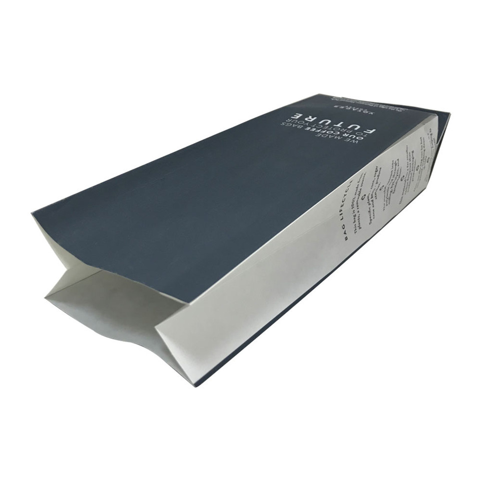Oem Laminated Fried Food Packaging Paper Bag Wholesalers