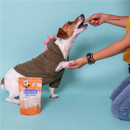 Hundeverlust-Bag
