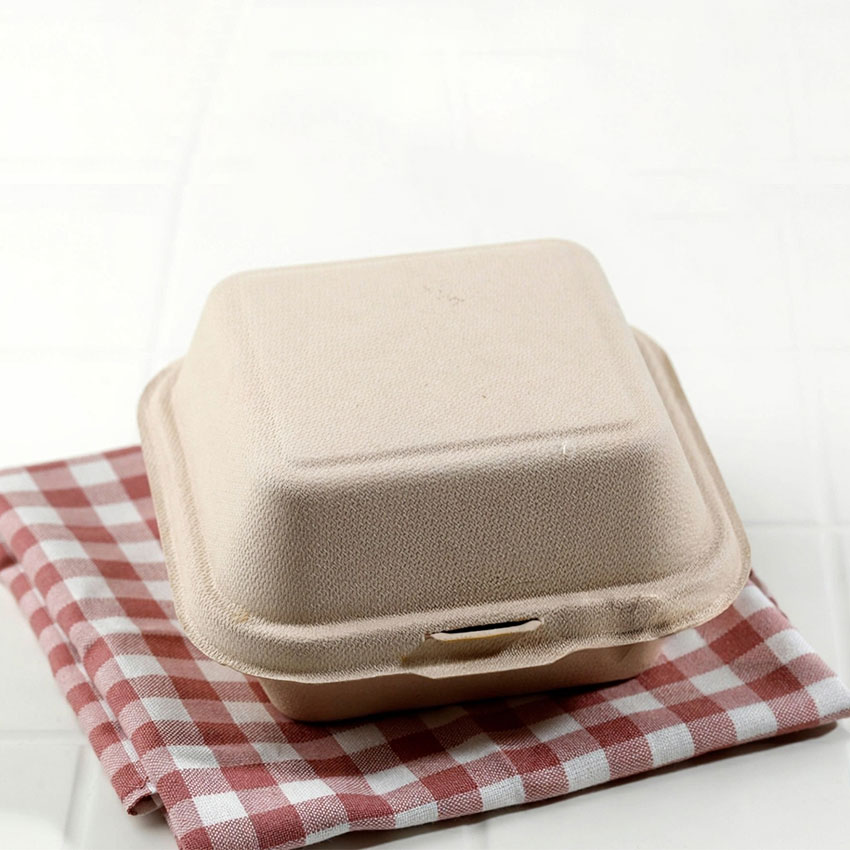 Biodegradable Sugarcane Bagasse Clamshell Lunch Box Takeaway