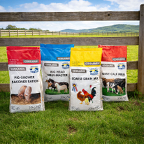 BOPP Laminated Woven Feed Bags