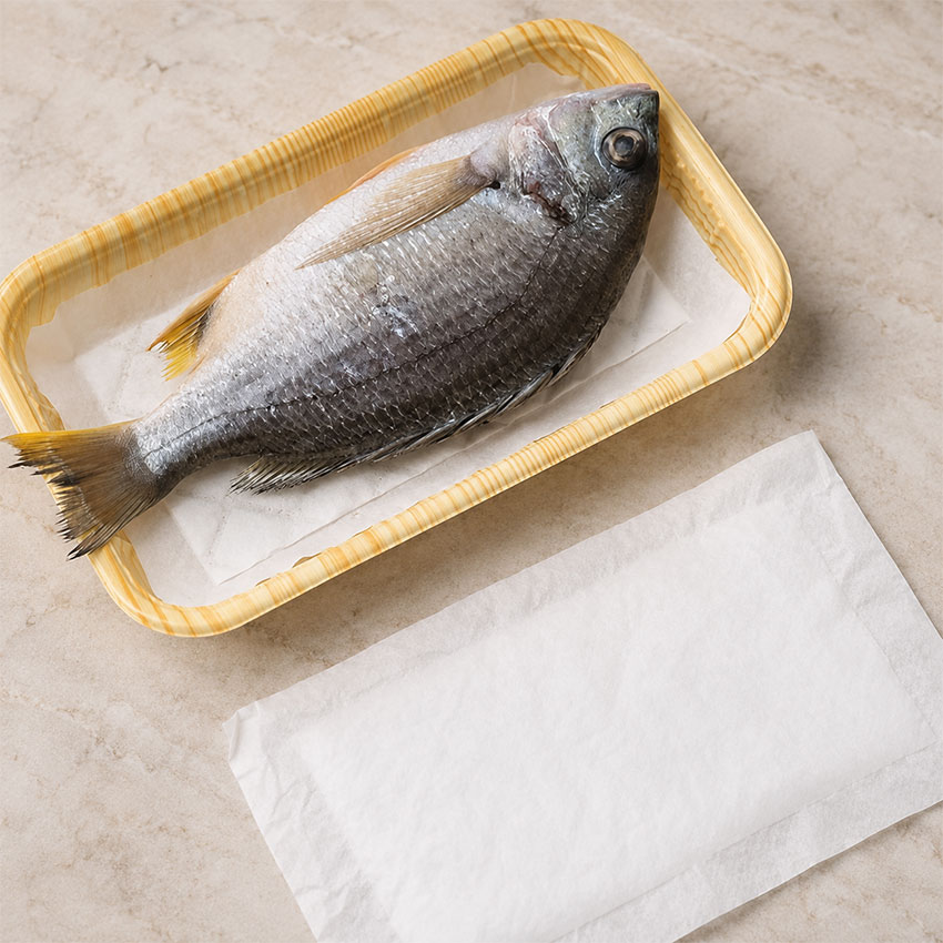 Compostable Absorbent Meat Pads