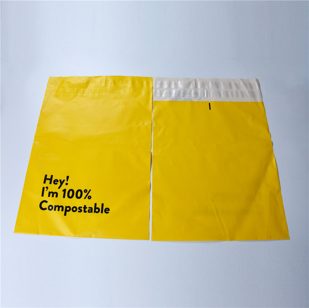 Factory Supply Sustainable Recycle Biodegradable Mailer with Full Matte Finish
