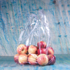 Foldable Moisture Proof Clear Ziplock Compostable Fruits Bags with Hang Hole